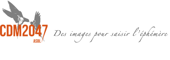 logo galerie